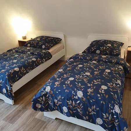 Apartment Nr 2 Am Hambach Wolkenstein